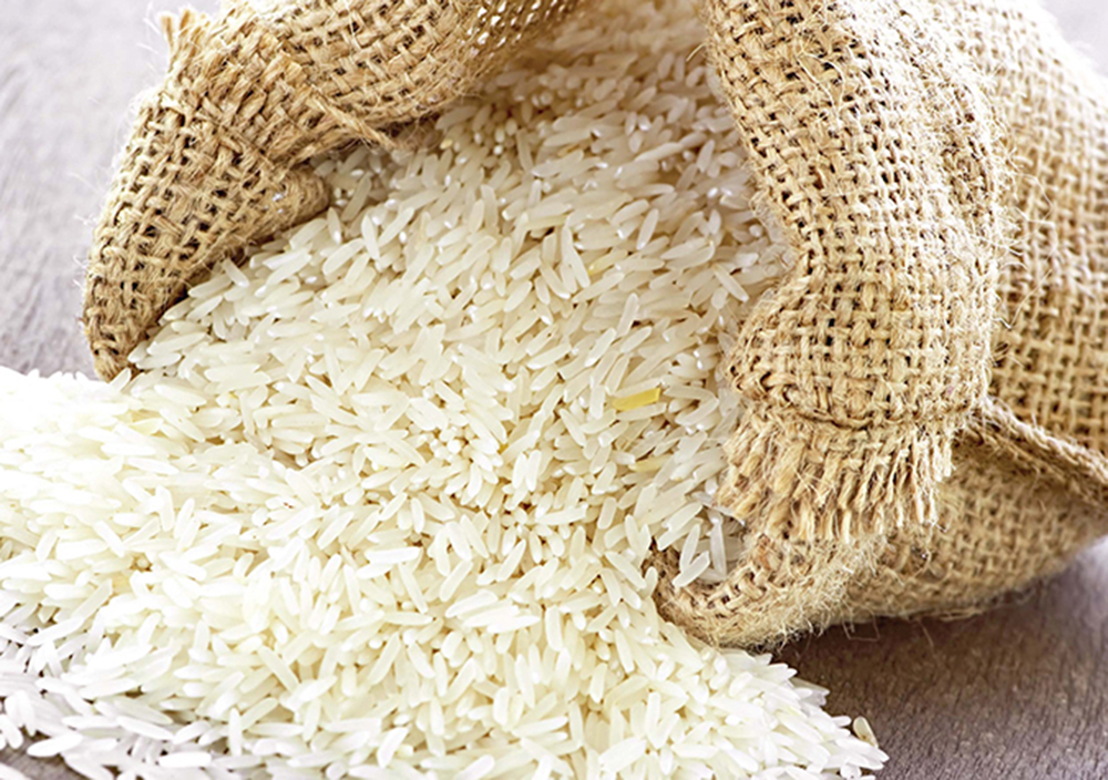 Cộng đồng Vstartup hỗ trợ ý tưởng xây dựng hệ thống phân phối gạo tại Hải Dương